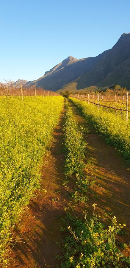 Hotel Sonklip Stellenbosch Exteriér fotografie