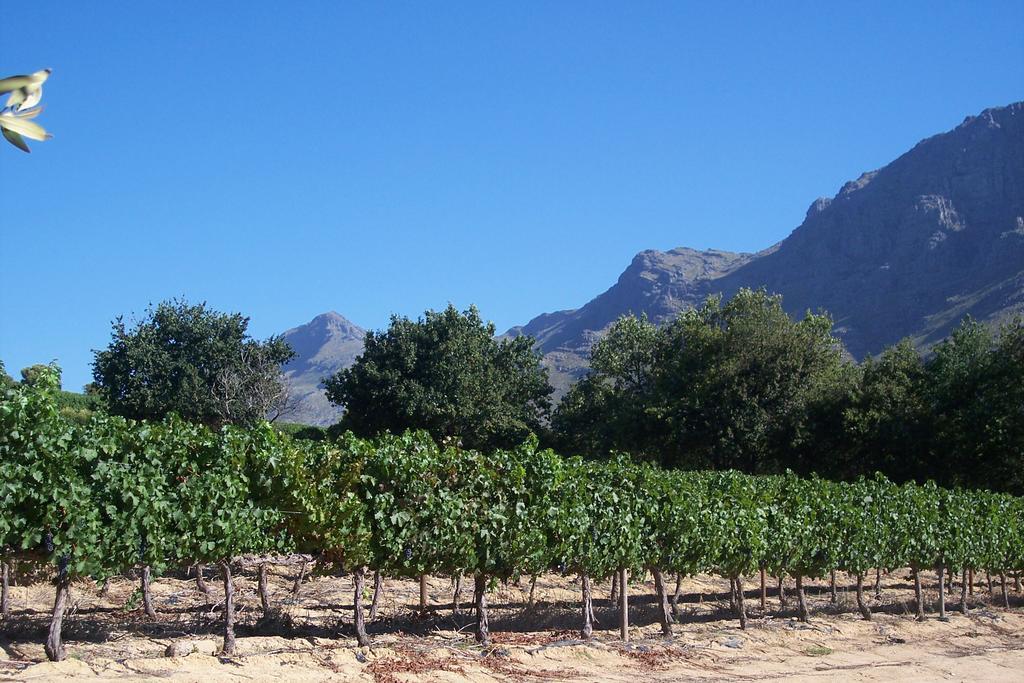 Hotel Sonklip Stellenbosch Exteriér fotografie