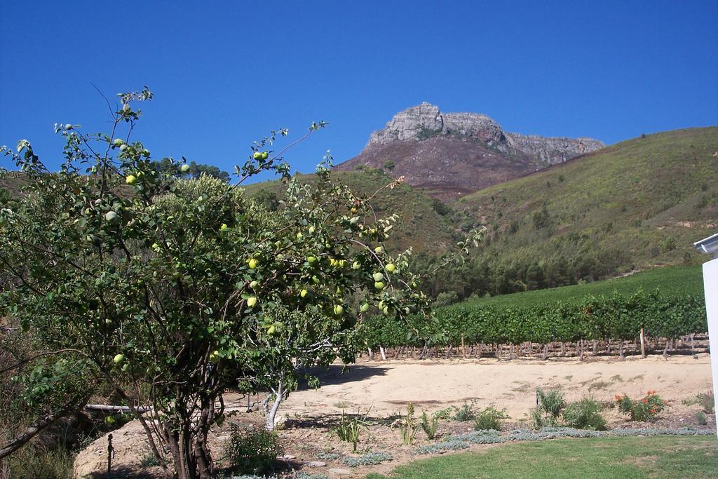 Hotel Sonklip Stellenbosch Exteriér fotografie