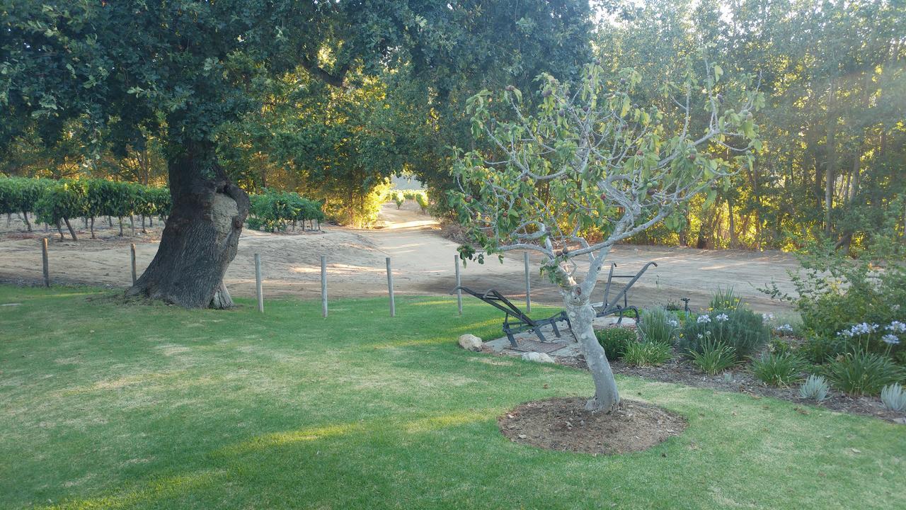 Hotel Sonklip Stellenbosch Exteriér fotografie