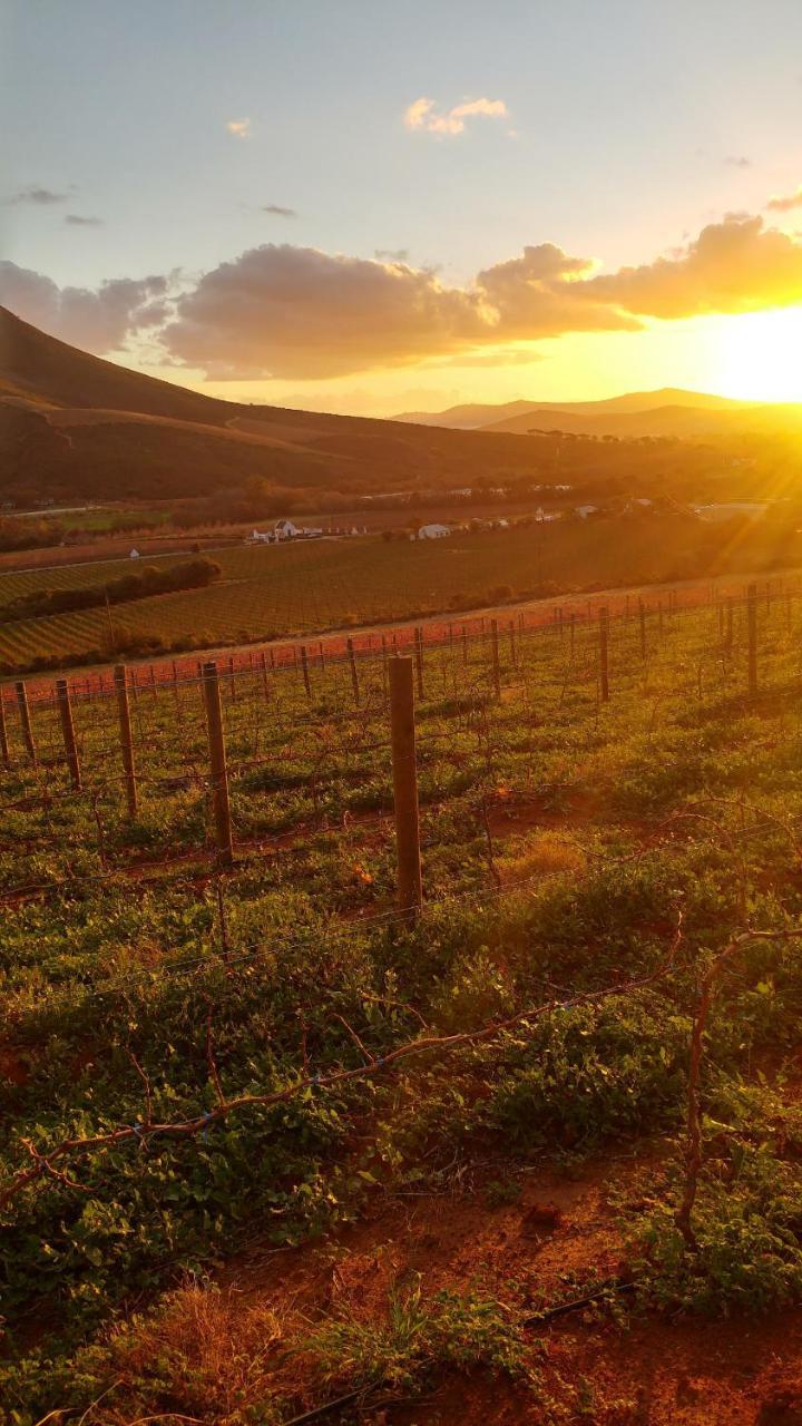 Hotel Sonklip Stellenbosch Exteriér fotografie