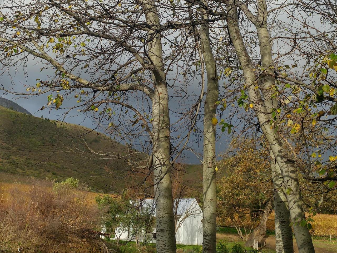 Hotel Sonklip Stellenbosch Exteriér fotografie