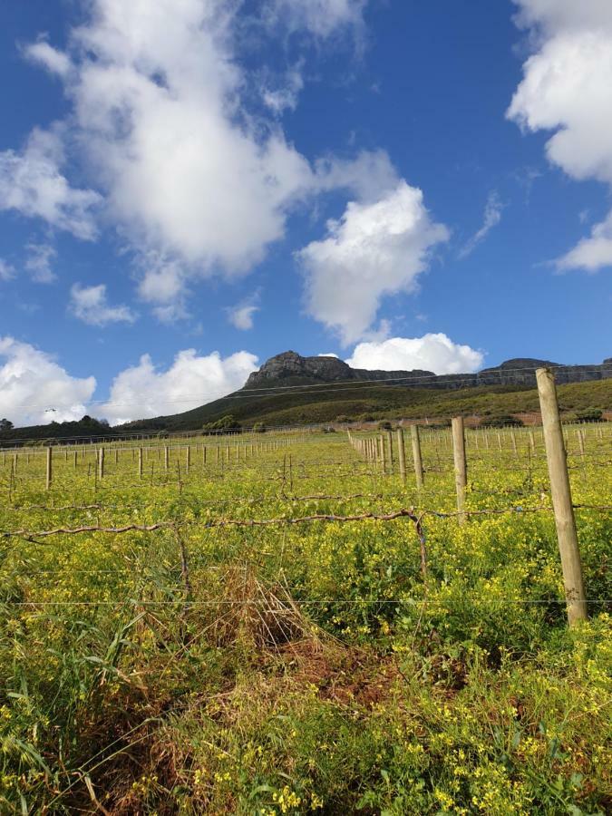 Hotel Sonklip Stellenbosch Pokoj fotografie